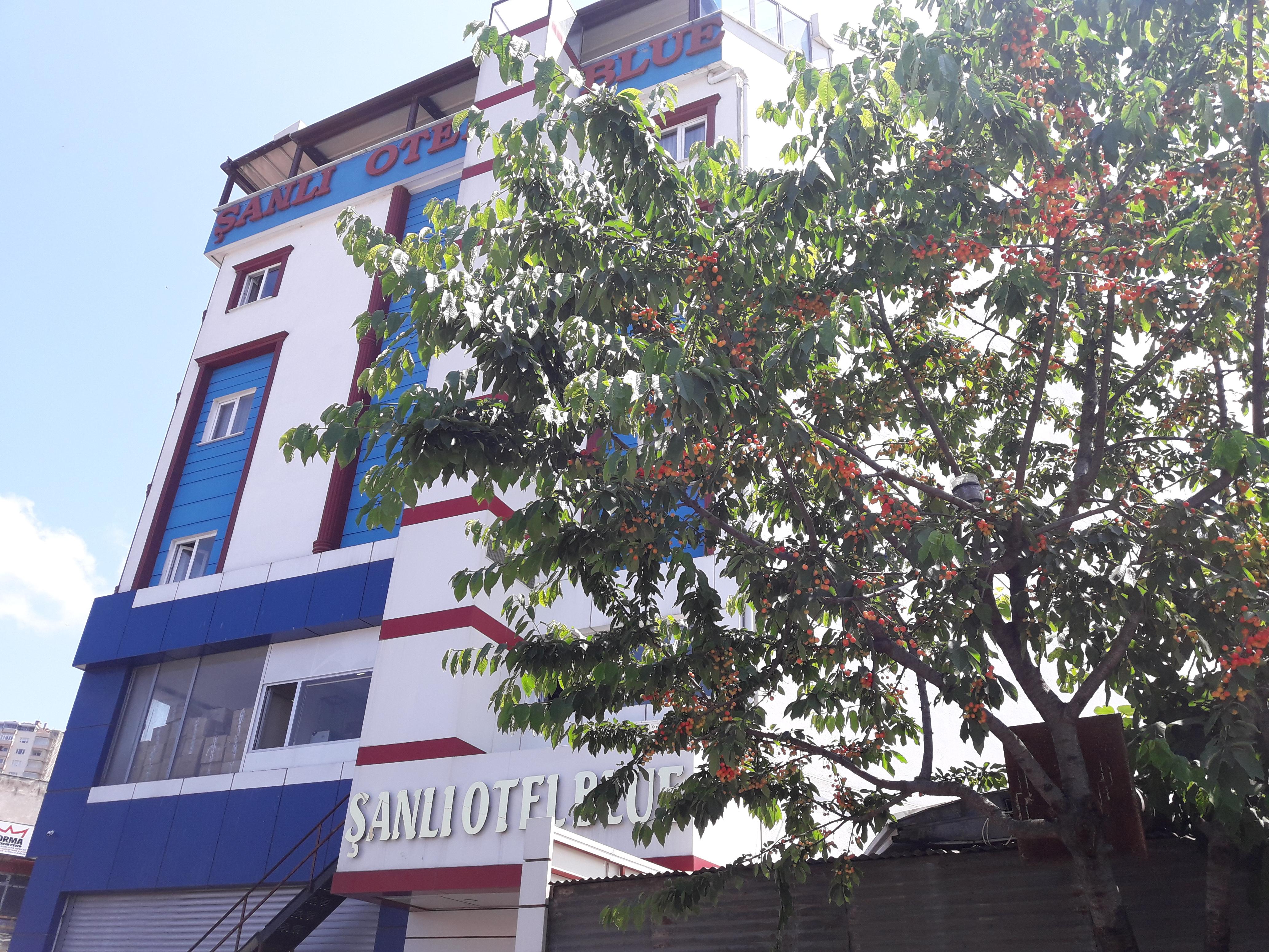 Sanli Hotel Blue Trabzon Extérieur photo